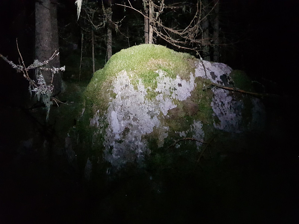 Det var mose dekt steinrøys i starten, og det var mye grov stein. Uvant å navigere i mørket i ukjent terreng mellom store steiner opp mot høyeste punkt