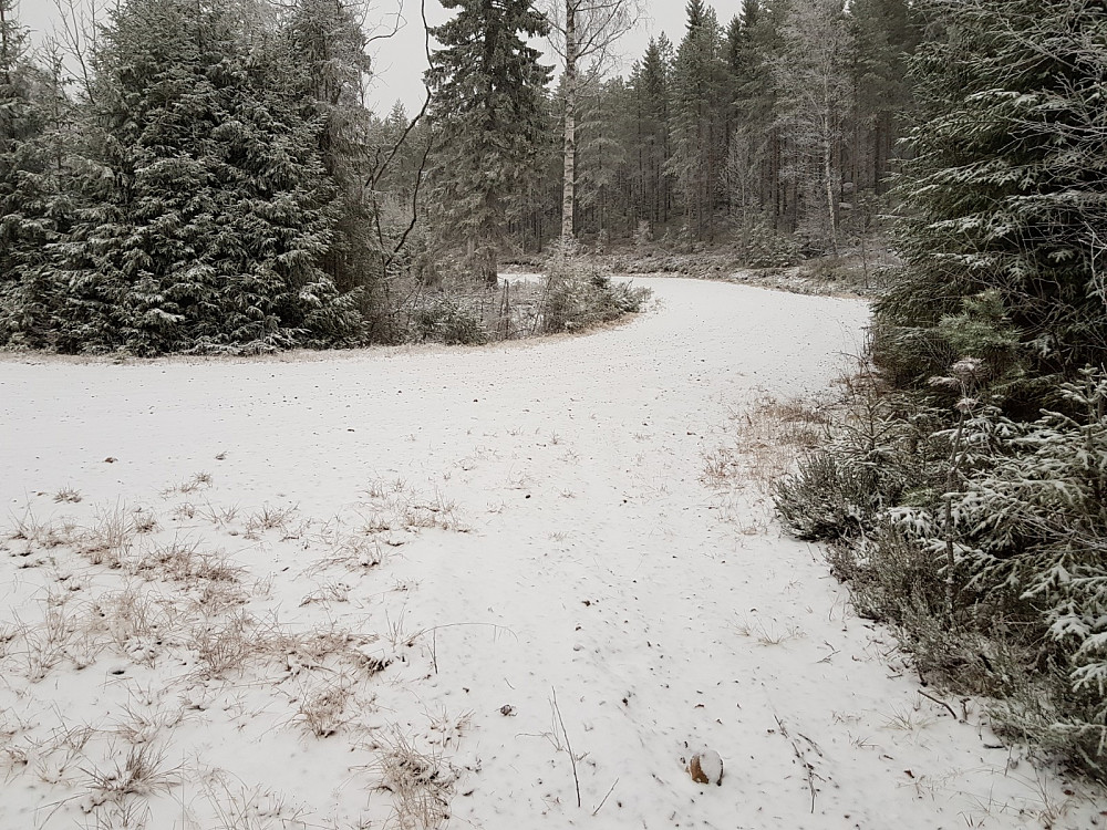 Her kom jeg inn på rundkjøringen i enden på en litt nyere vei. Jeg fulgte den noen hundre meter oppover før jeg tok inn i skogen