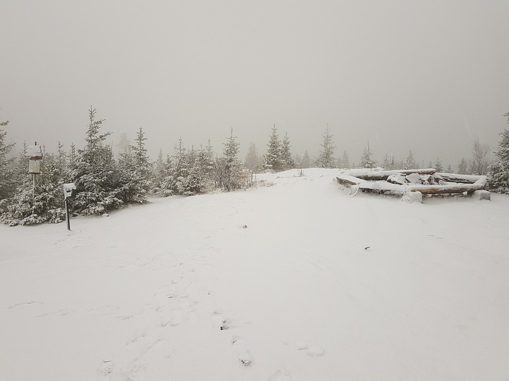 På toppen var det snøvær og hvit. Det hadde vært 2 stykker der rett før meg, og jeg passerte dem på tur ned
