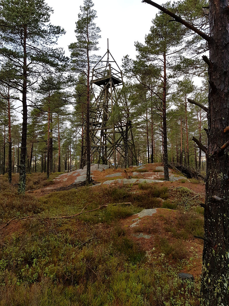 Flott tårn på Stikkaåsen. Jeg glemte å ta bilde av utsikten som faktisk var ganske bra.