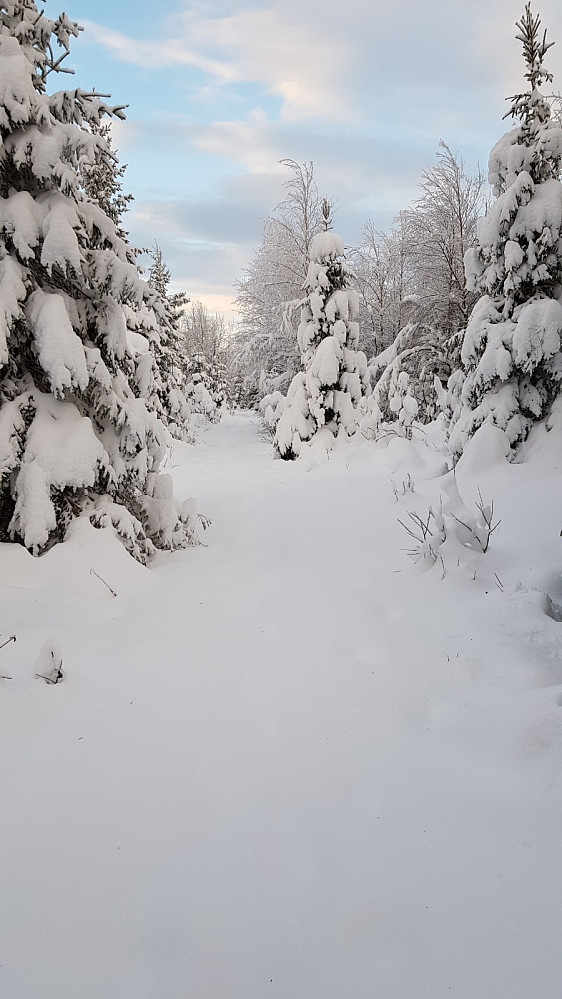 Fra utsiktpunktet måtte jeg ta meg frem i løssnøen, men det var ikke mer enn 20 cm med lett snø, så det gikk greit
