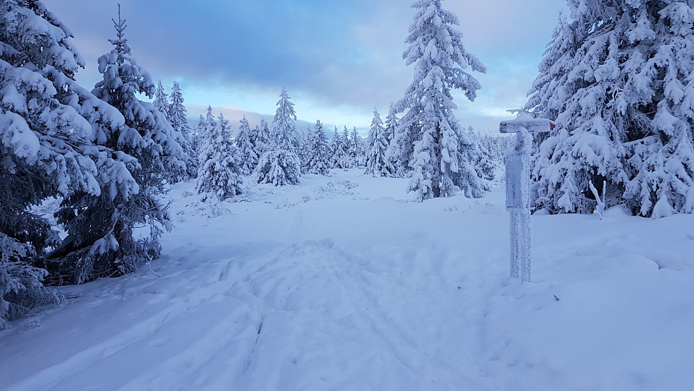 Fra krysset ved Nevelvann var det bare et nedsnødd spor videre, men når jeg stod der kom det en forbi meg som tok inn sporet