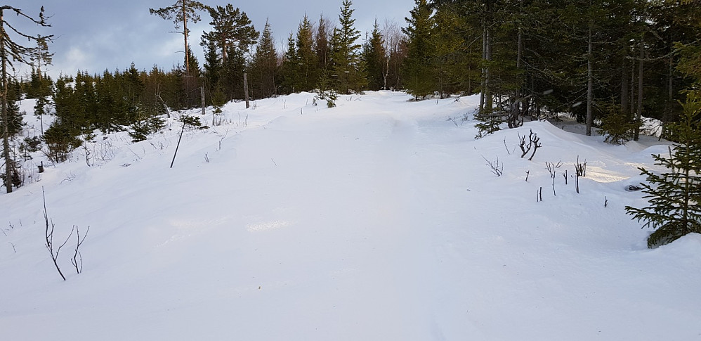 Det var ingen som hadde gått opp stien opp fra Balberg etter siste snøfallet