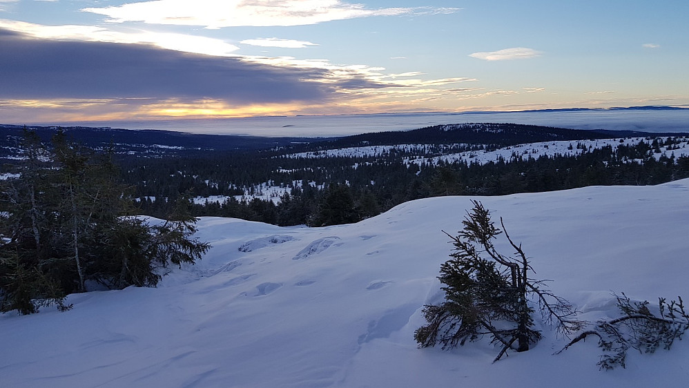 I det jeg kom over tregrensa så jeg tåka som lå som et lokk over Mjøsa