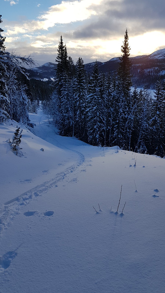 I starten ble det å tråkke spor i 20 cm løs snø