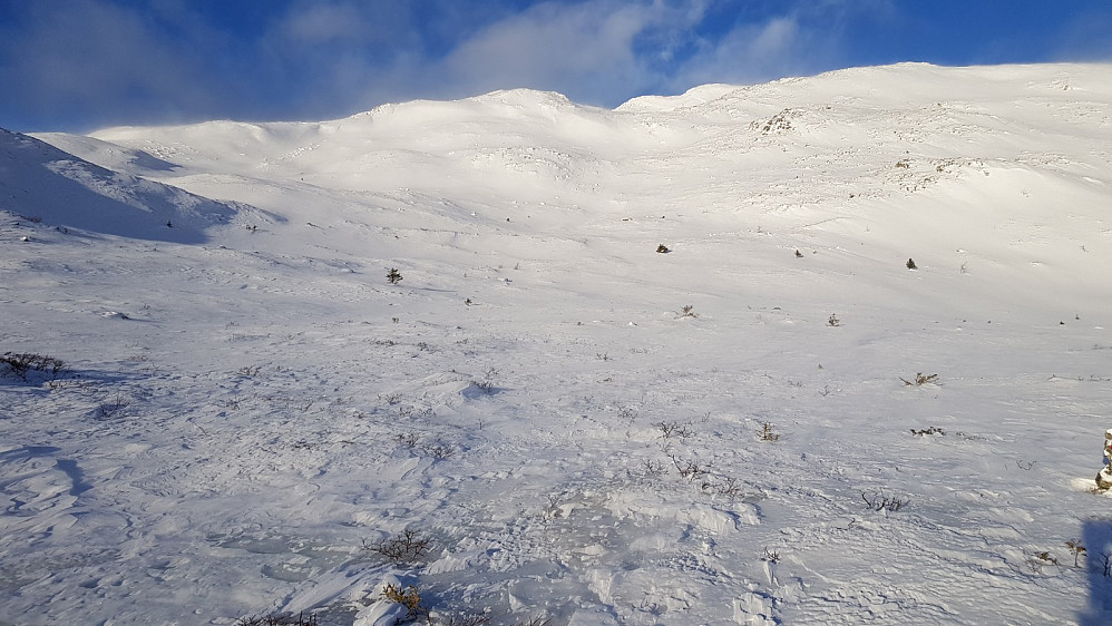Sola skinte men vinden var så kraftig at det stedvis føltes som jeg gikk i en elv av løssnø som blåste avgårde bortover fjellet. Når jeg var på tur opp fjellet kom det 2 stykker ned fjellsiden litt bortenfor meg og de fortsatte ned dalen i samme spor de hadde gått opp