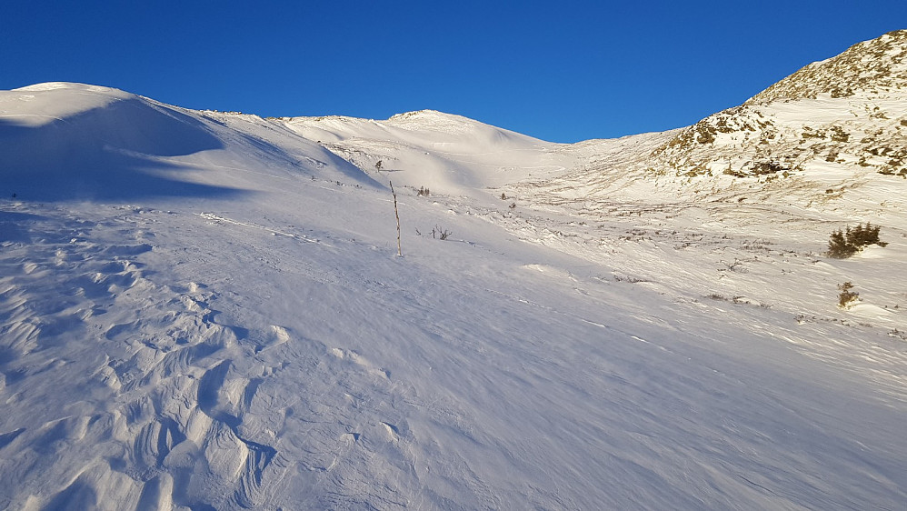 Tilbakeblikk litt nede i fjellsia hvor det var flotte forhold for ski kjøring