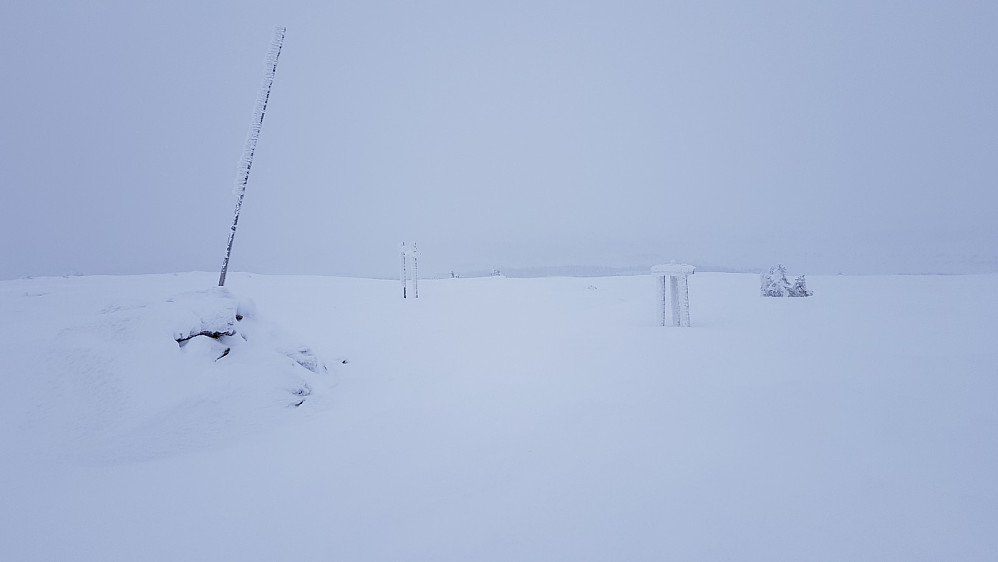 Begrenset utsikt fra Sjøsæterfjellet i dag