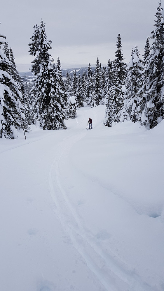 Kjørt spor gjorde at det var fast snø i bunnen, og da gikk det greit å brøyte spor i nysnøen