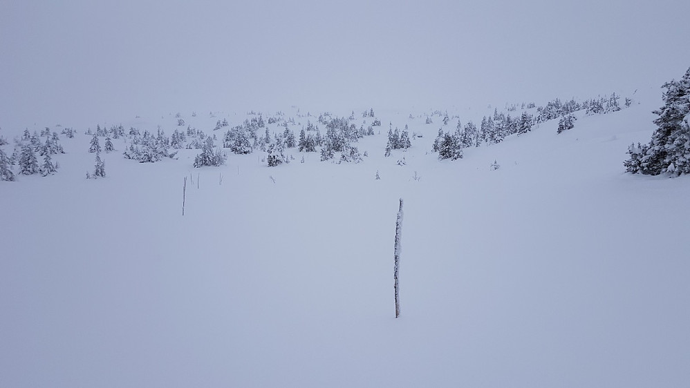 Oppe på fjellet var det veldig flatt lys og vanskelig å holde seg på løypa da nysnøen dekket alle gamle spor