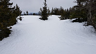 Dagens første topp ble Høgliflæene