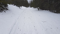 Jeg tok scootersporet i veien ned igjen, og selv med feller var det god gli