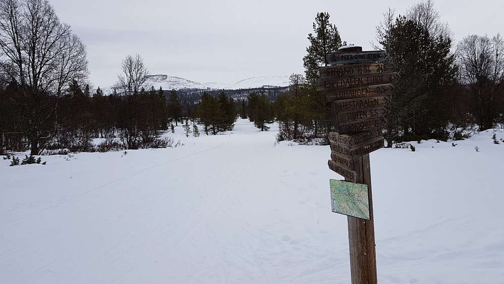 Veldig godt skiltet i de mange løypekryssene