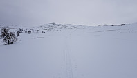 Men bare noen hundre meter høyere opp var det slutt på kjørt løype. Heldigvis var det et skispor jeg kunne gå et stykke oppover