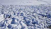 På tur opp mot Storhøa ble det heldigvis mindre og hardere snø. Her hadde reinen til Fram tamreinlag gravd seg ned til bakken for å finne mat