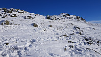 Reinen hadde vært over hele fjellet