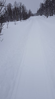 Heldigvis møtte jeg JR på snøscooteren på tur opp for å hente de andre, så da ble det lett å gå i kjørt spor resten av returen