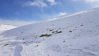 Når jeg passerte i le av denne snøfonna på vestkanten av Ongsjøfjellet, lå det mose som var blåst av fjellsiden og havnet her oppe på fjellet