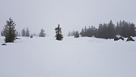 Vi kom inn i skyene ved tregrensa 