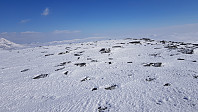 Toppen av Blåkampen nord ble besteget på tur bort til Gravskardhøgda