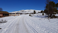 Skiløypa gikk på veien innover mot fjellet