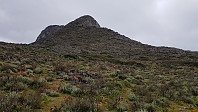 Etter noen bratte kneiker flatet det litt ut mot den første toppen på fjellryggen