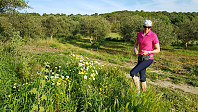 Full sommer og masse fine blomster