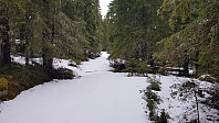 Snøføre i skogen og det snødde også litt her oppe