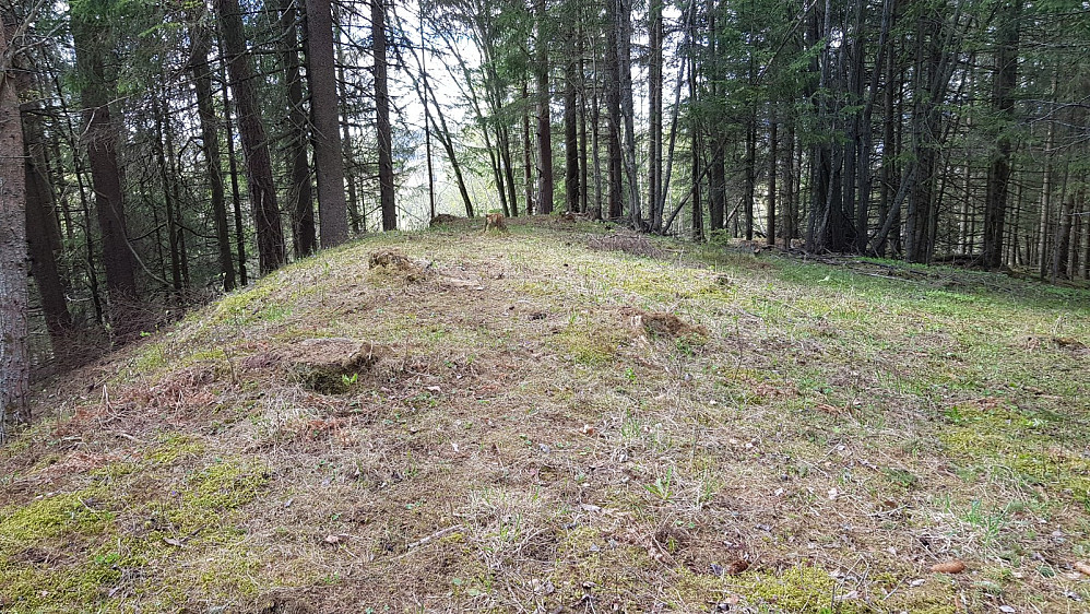 Toppen på Trostberget