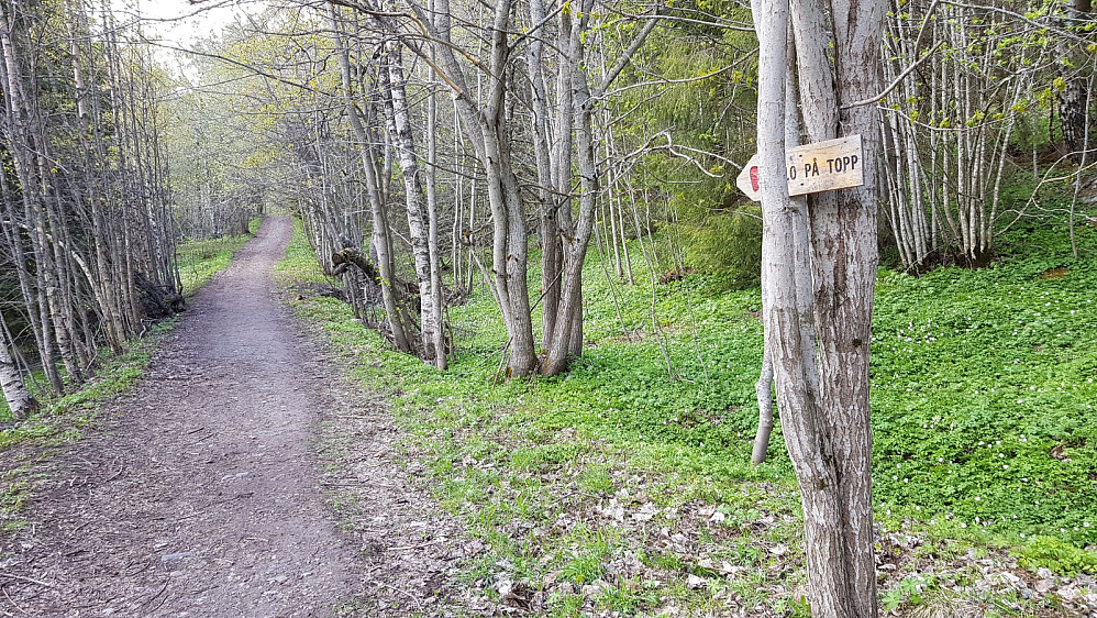Fin tursti i starten