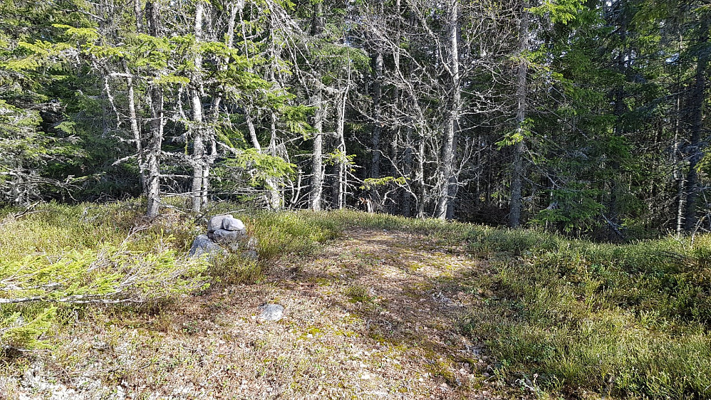 Etter å ha gått et lite stykke i terrenget, var jeg på toppen av Høsbjørkampen