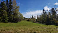 På tur ned skremte jeg opp to elg. De rakk akkurat å løpe opp jordet før jeg fikk opp kameraet, så de er ikke lette å se på bildet.