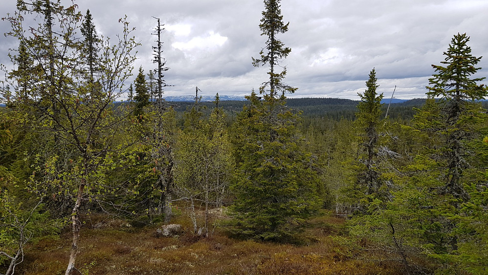 Utsikt fra toppen av Øyvassberget med Spåtind i bakgrunnen
