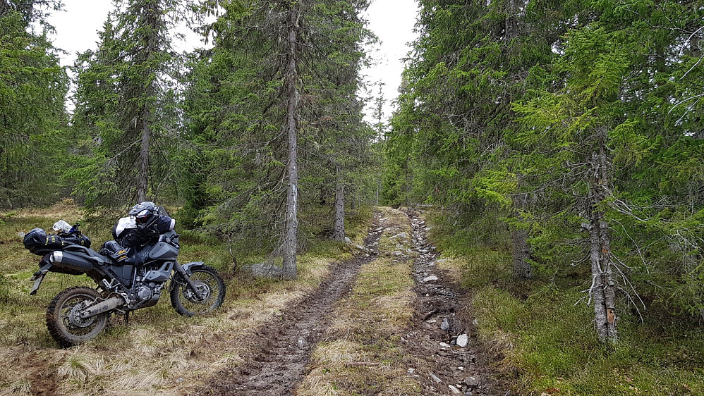 Det var veldig vått opp veien og jeg kom ikke opp, da det bare spant. Da ble motorsykkelen parkert her