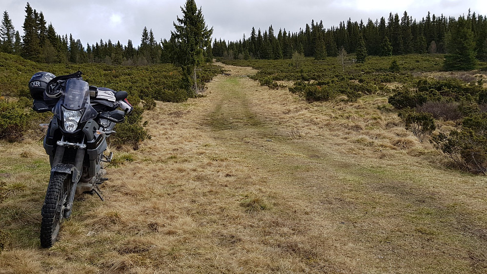 Jeg parkerte motorsykkelen 100 meter inn på kjerreveien før jeg tok beina fatt