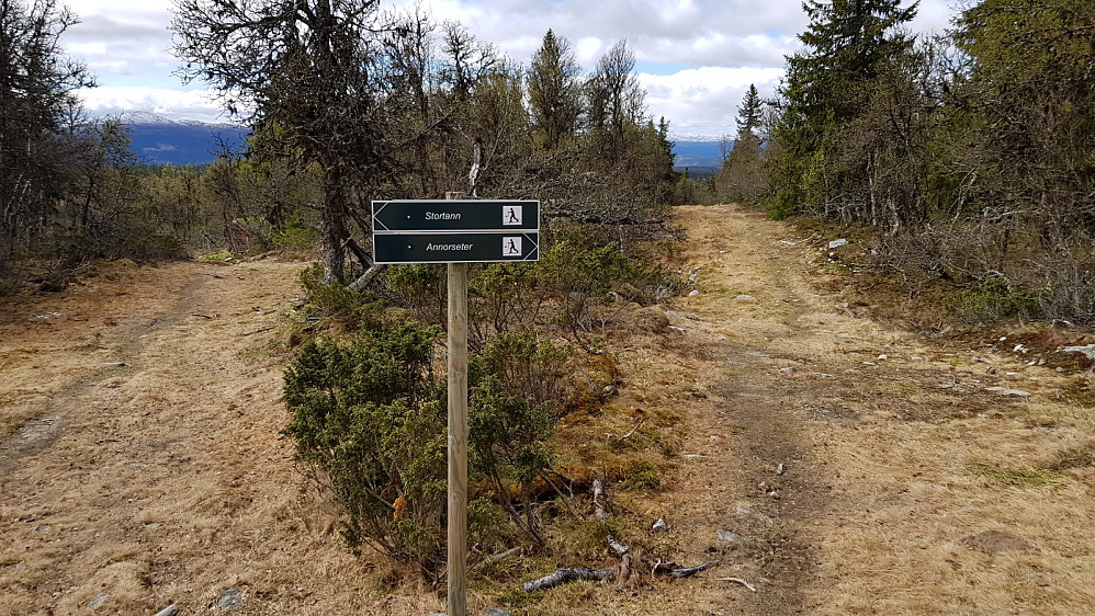 Tilbakeblikk i det jeg passerer løpekrysset. Det hadde vært en fin tur på sykkel dette