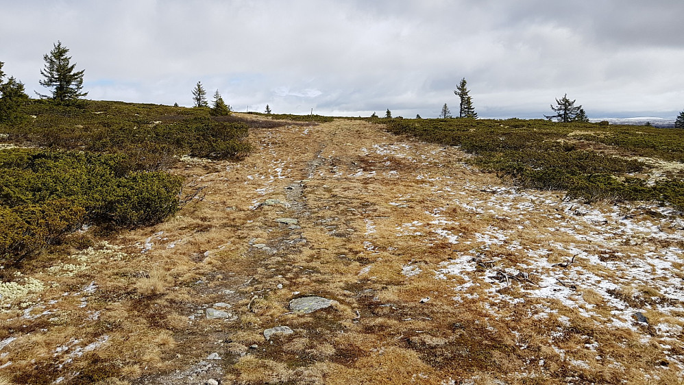 Oppe på fjellet lå det igjen litt av snøen som kom i natt
