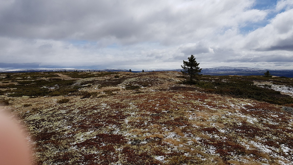 Det høyeste punktet på fjellet var uten markering, og høydeforskjellen i forhold til det markerte punktet må være i centimeter.