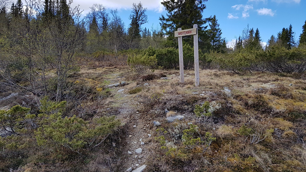 Jeg gikk ned igjen og krysset veien og tok av stien mot Skottåsen. Jeg måtte gå delvis på hytteveien opp bakken