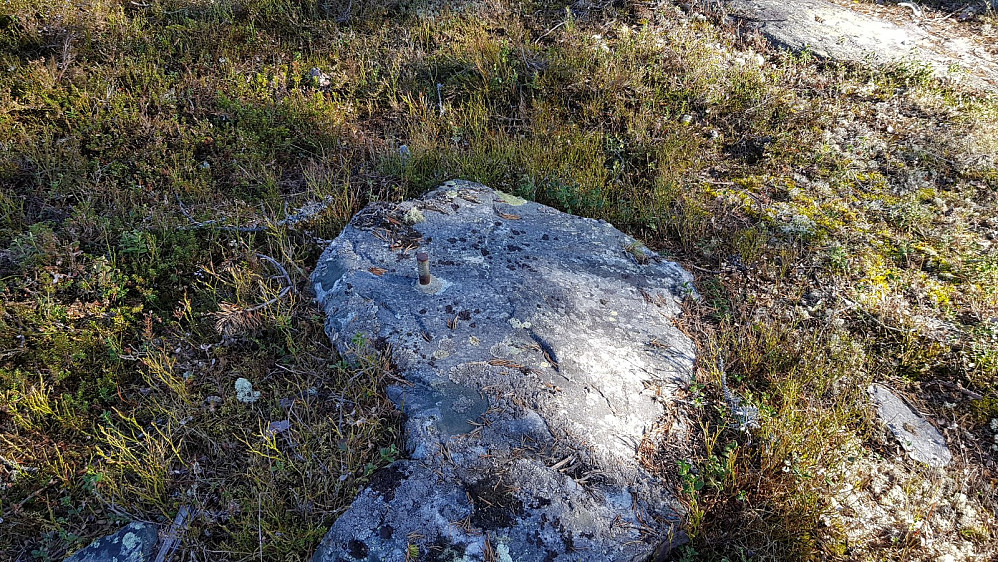Toppen var markert med en bolt i steinen, men jeg er usikker på om dette faktisk er høyeste punkt