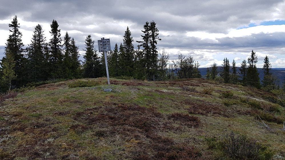 Høyeste punkt på Ljoshaugen