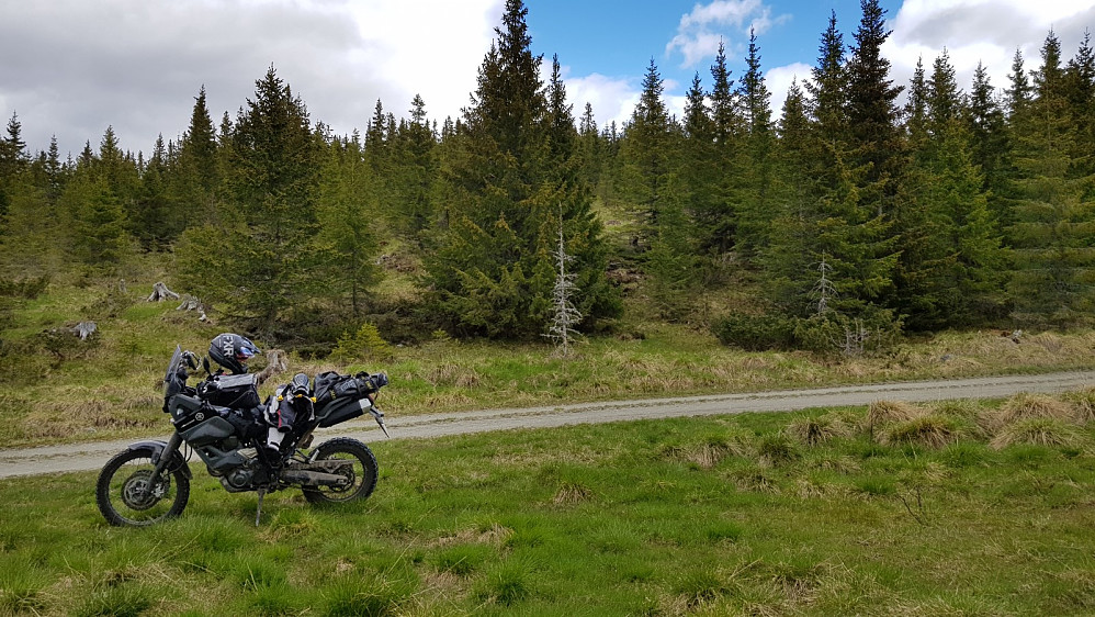 Turstart rett inn i skogen