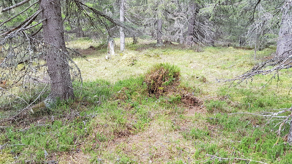 Her et sted er høyeste punkt
