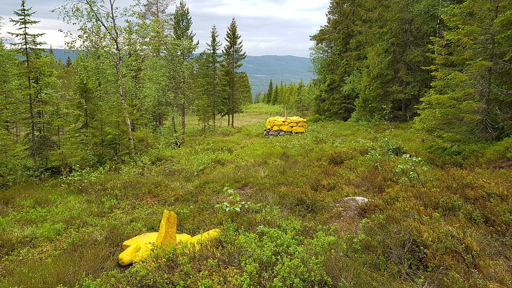 Jeg måtte bare ta en sving innom Sverige når jeg var så nære grensa. Grensa var markert med gulmalte steiner