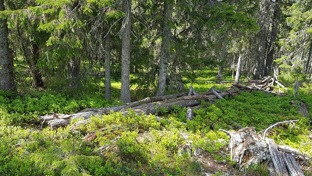 Rester av et sammenrast tårn på toppen
