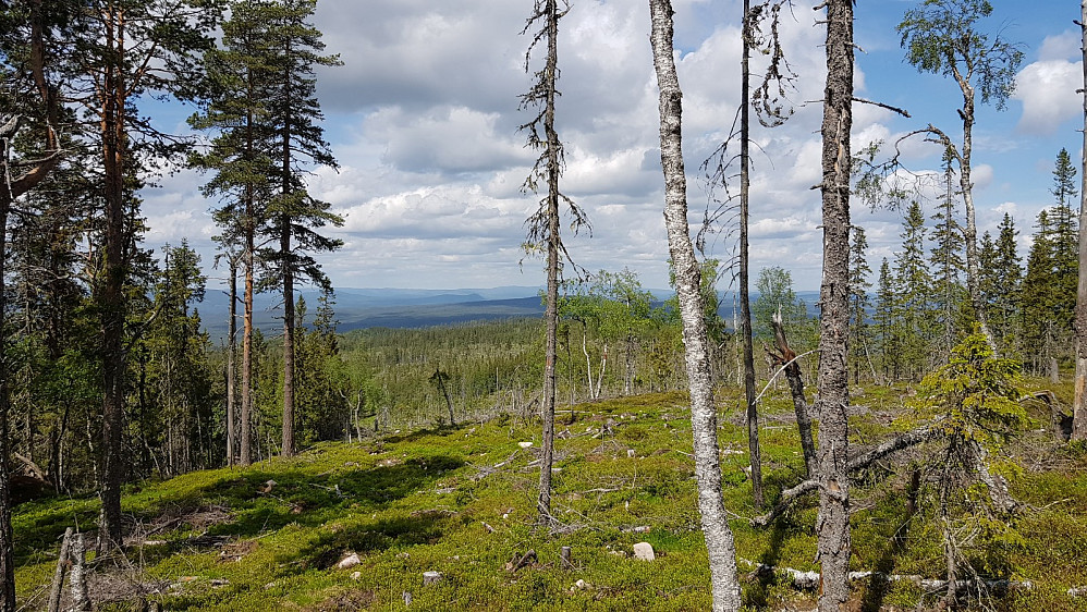 Litt utsikt også fra denne toppen