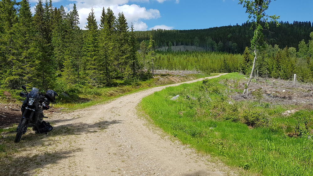 Fant en plass i å parkere i skyggen her
