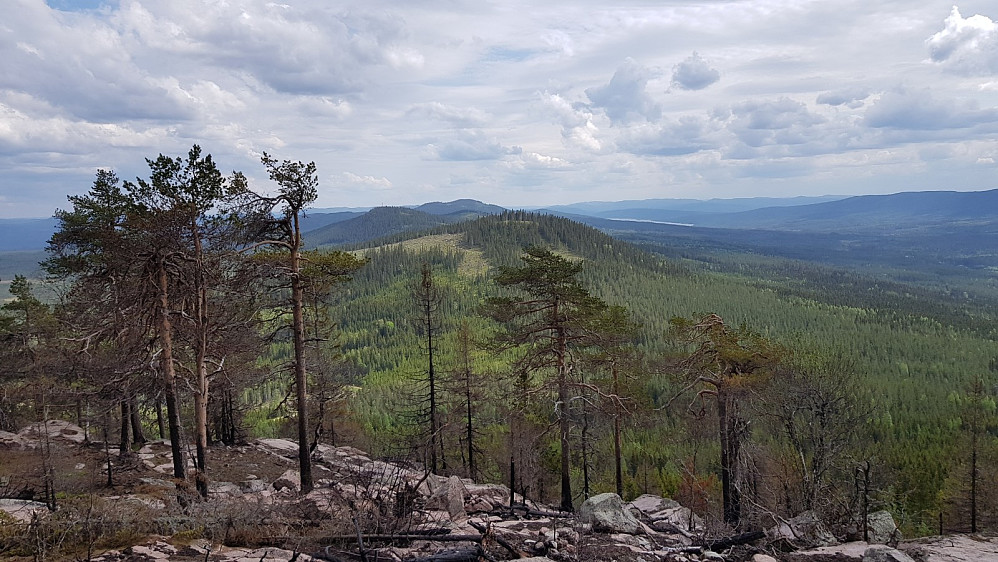 Utsikt fra Trollsberget og over mot Svartåsen