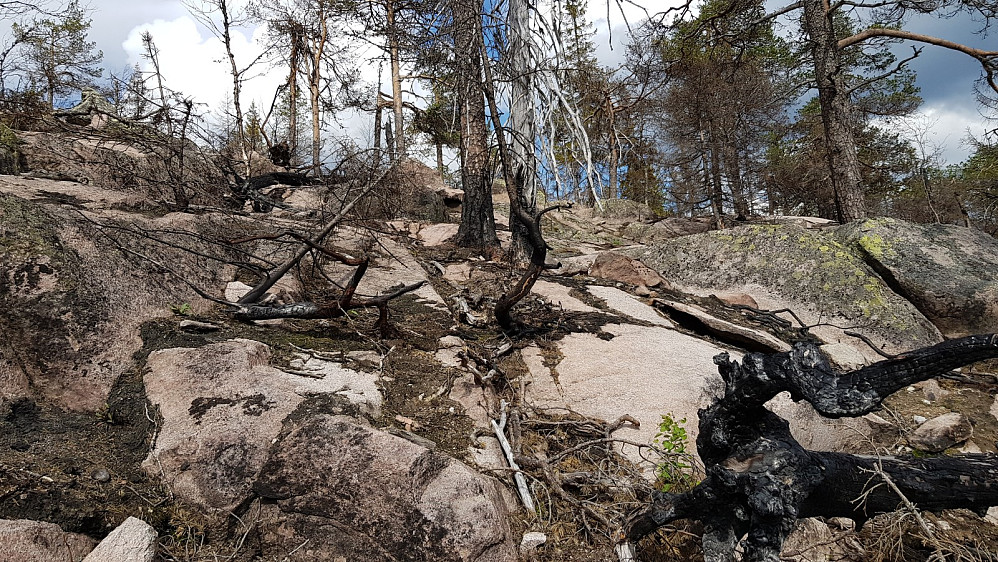 Tilbakeblikk på nedturen. Skogsbrannen og siden regnet har blott lagt berget.