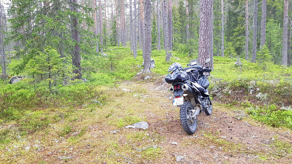 Det regnet litt nå, så jeg satte kursen tilbake til basecamp
